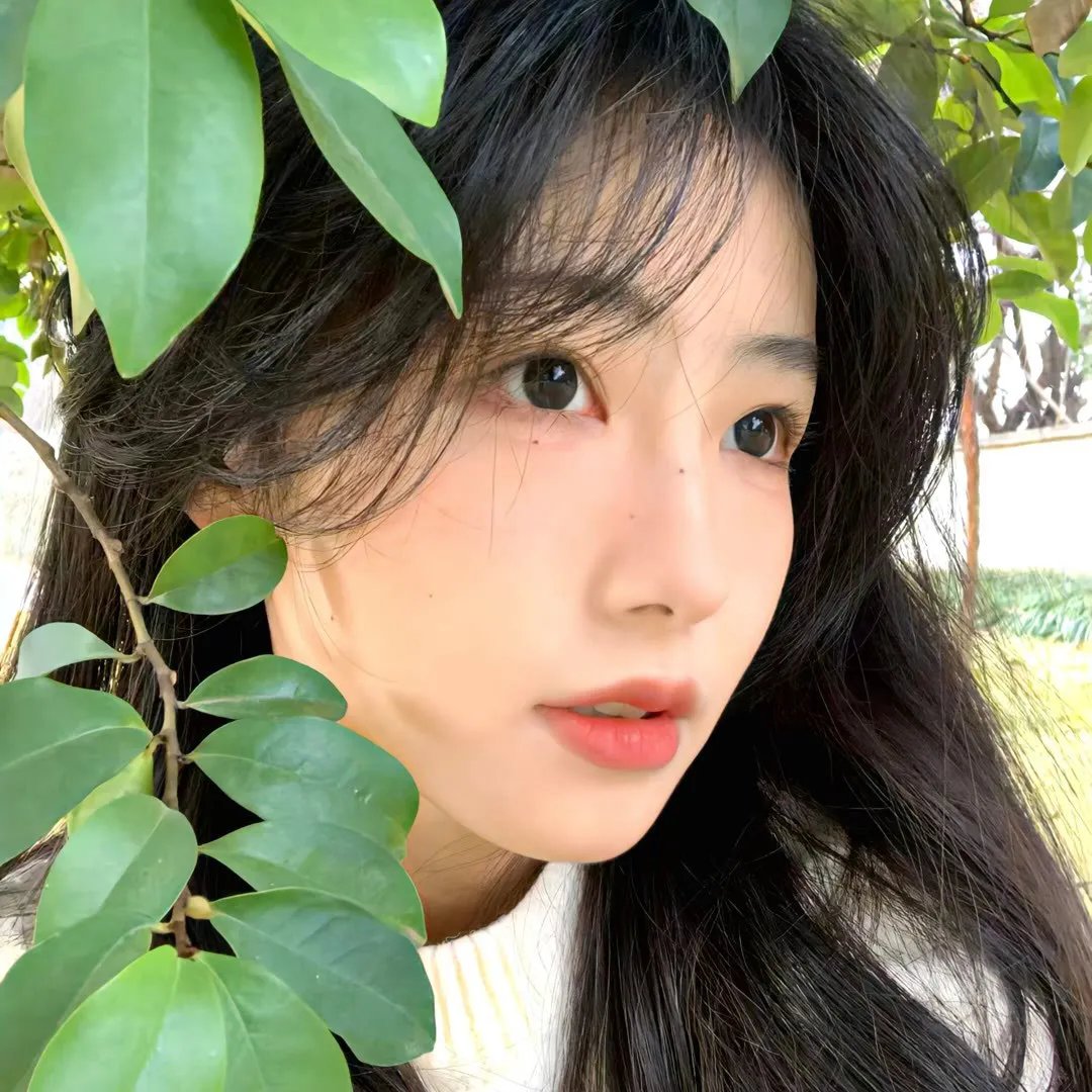 艾米利亚的孩子