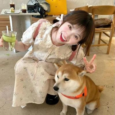 狼嚎:重生